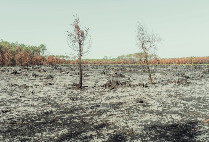 Deux mois plus tard, le mégafeu de Saumos est enfin éteint en Gironde