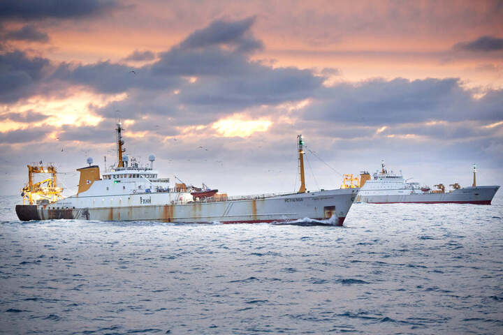 Pêche&nbsp;: l'État joue la montre et laisse les navires-usines piller le littoral